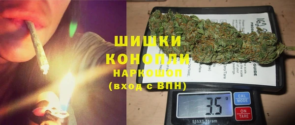 амф Ладушкин
