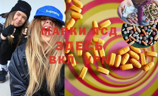 амф Ладушкин