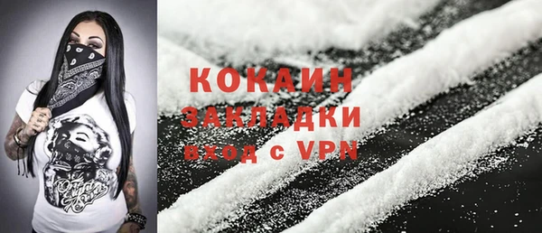 амф Ладушкин