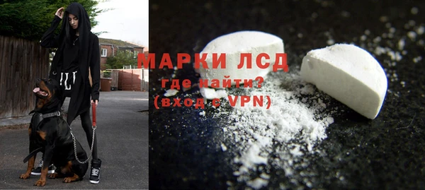 амф Ладушкин