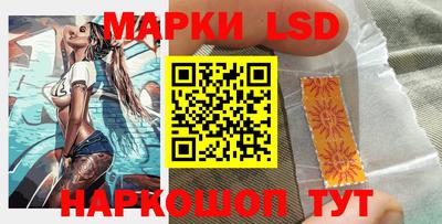 дживик Гай