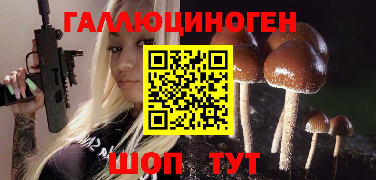 Северодвинск  Галлюциногенные грибы GOLDEN TEACHER  Вход с VPN 